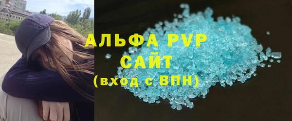 стаф Богданович