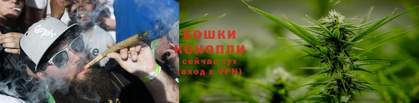 стаф Богданович