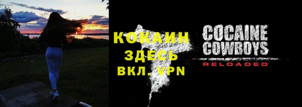 стаф Богданович