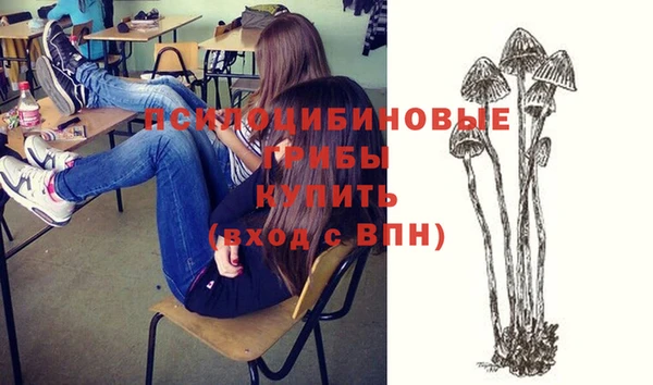 стаф Богданович