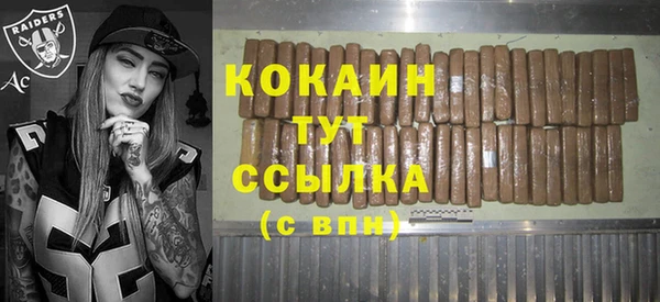 стаф Богданович