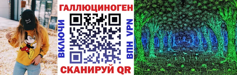 дарк нет телеграм  Ленинградская  Галлюциногенные грибы Psilocybe 